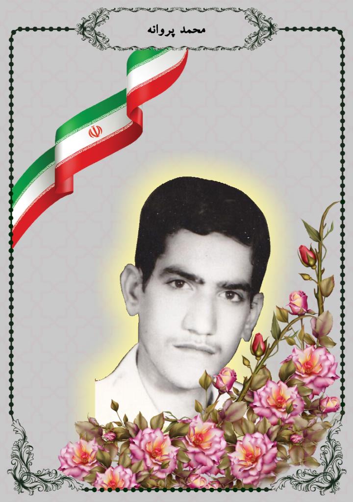 فاقد تصویر